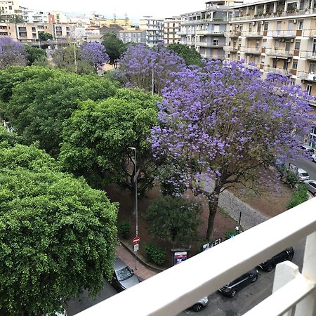 La Maison Blanche Katanya Dış mekan fotoğraf