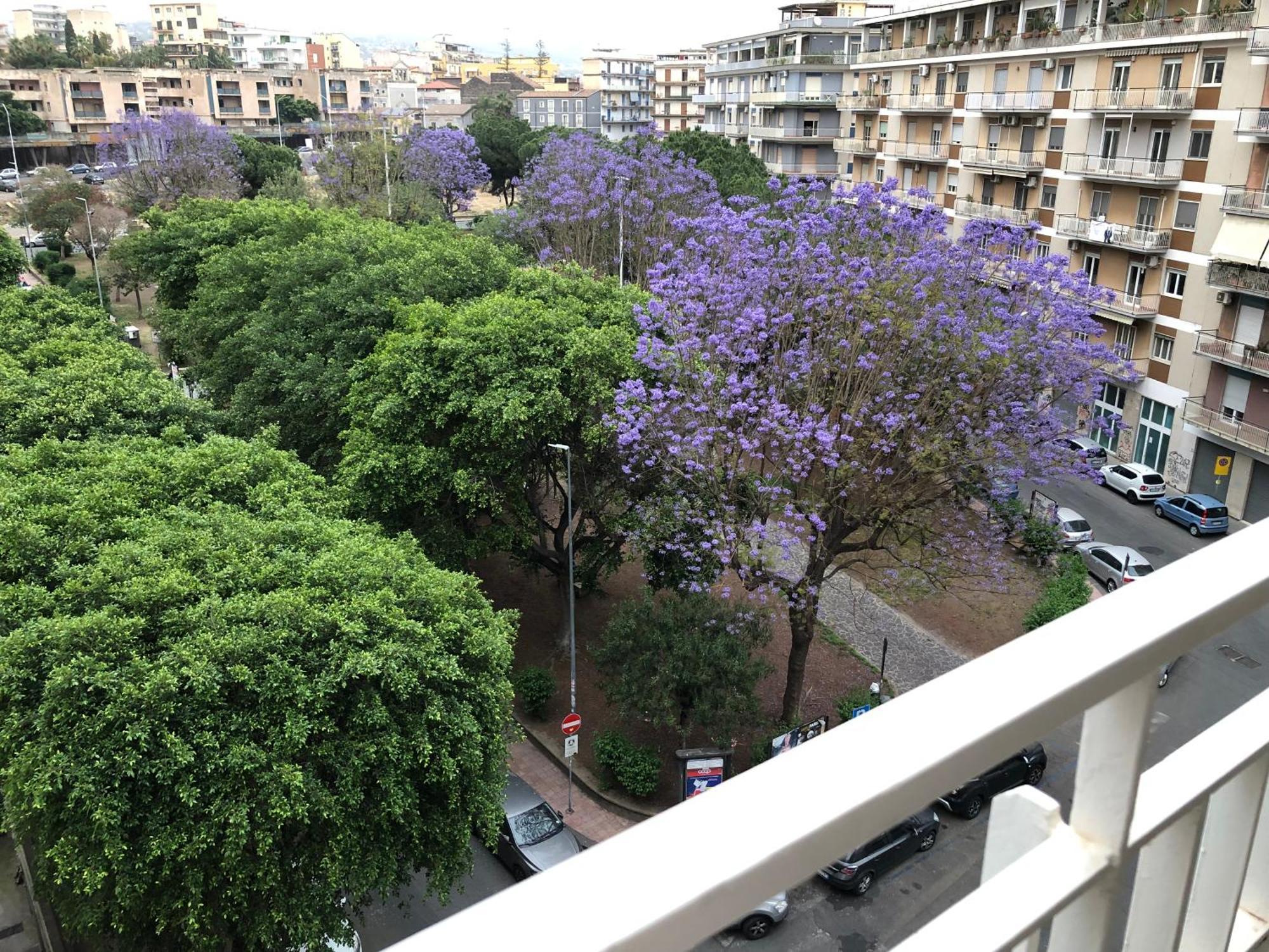 La Maison Blanche Katanya Dış mekan fotoğraf