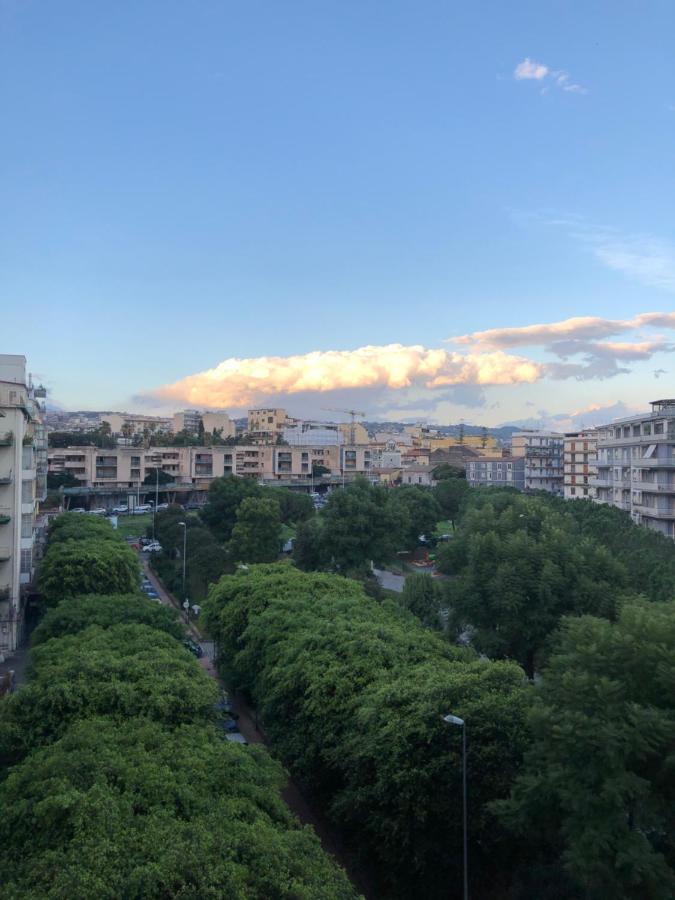 La Maison Blanche Katanya Dış mekan fotoğraf